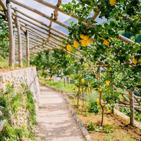 Le Murelle 게스트하우스 트라몬티