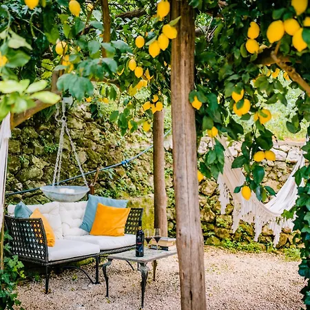 게스트하우스 Le Murelle 트라몬티