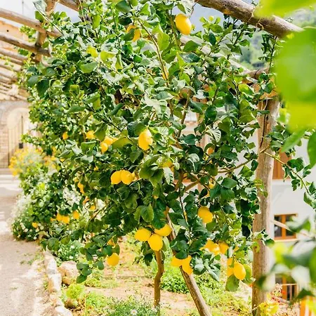 Le Murelle 게스트하우스