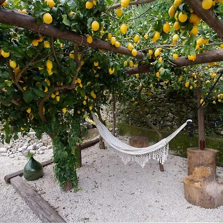 Le Murelle Guest house *