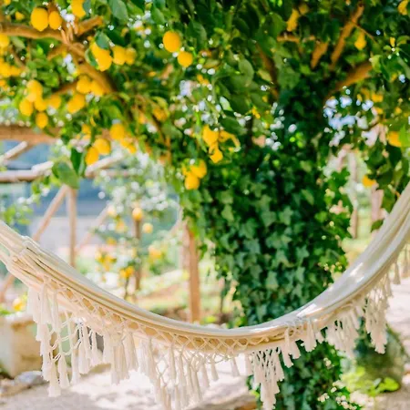 Le Murelle Guest house Tramonti