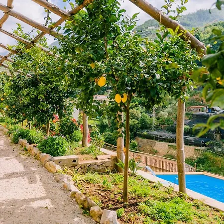 Guest house Le Murelle
