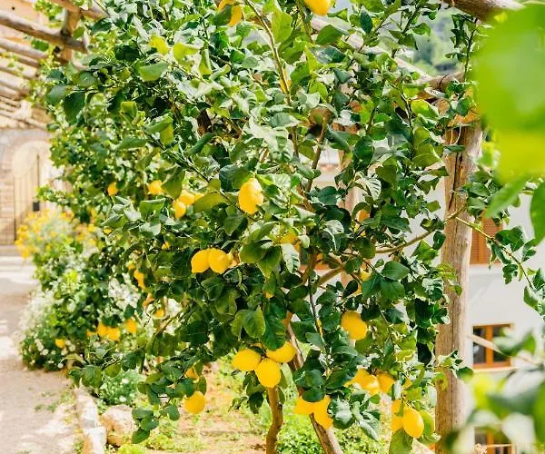 Le Murelle 게스트하우스